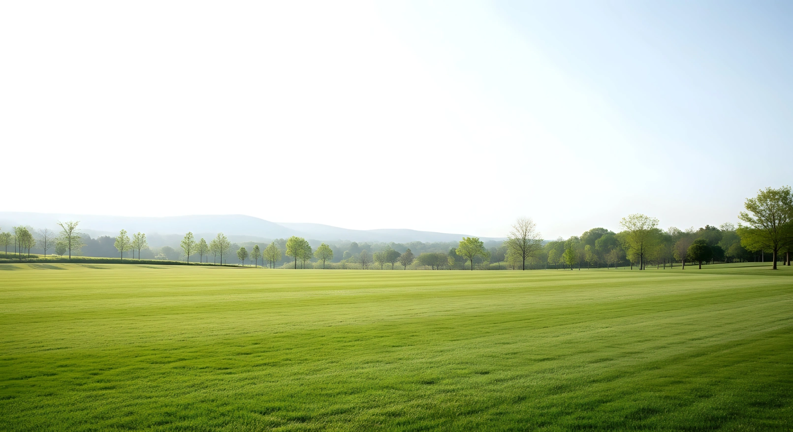 serene green field with trees and sky photo 1